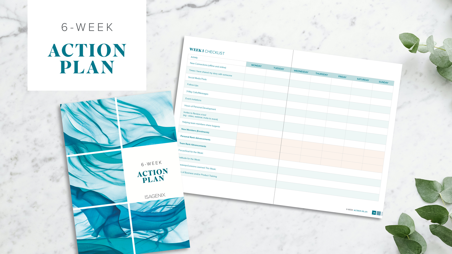 6 Week Action Plan Booklet
