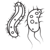 Untitled design (15)